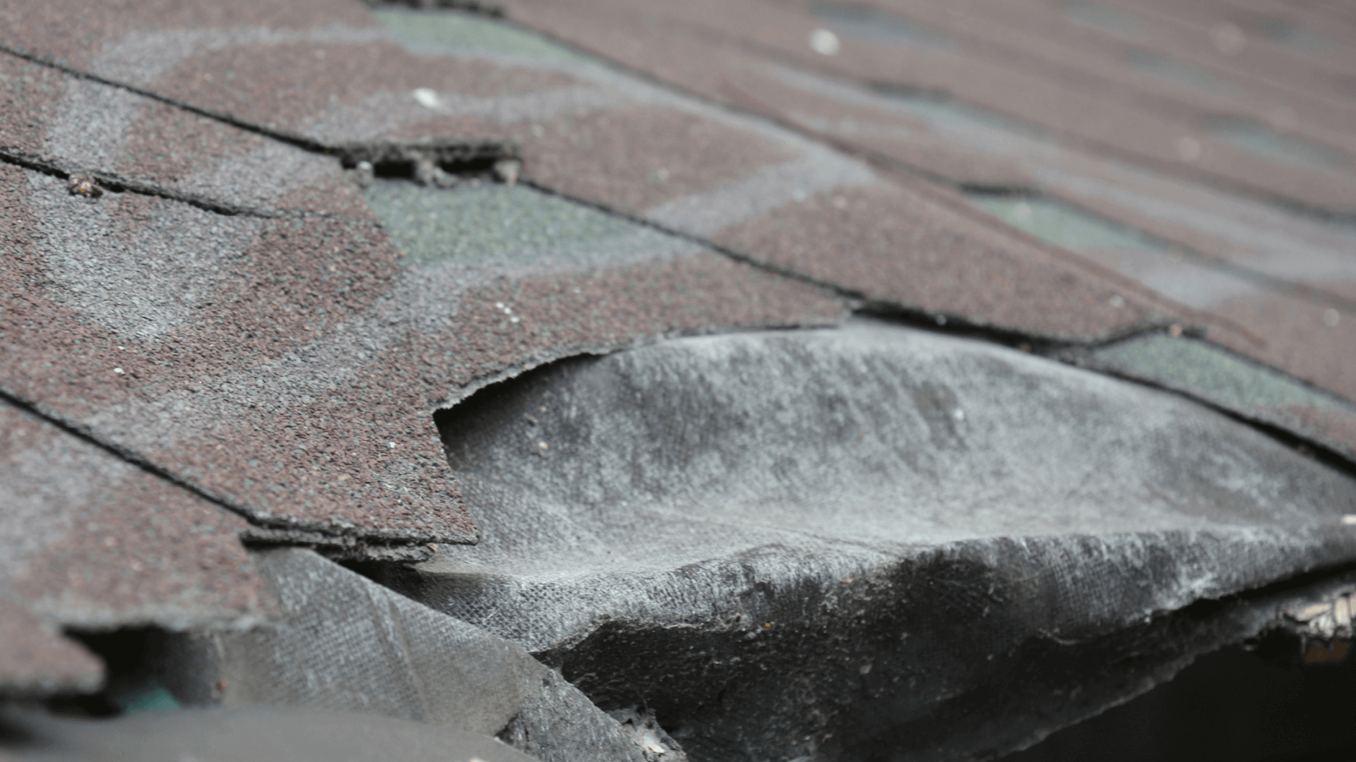 Wind Damage Roof Repair for Denver Commercial Roofs | Commercial Roofers of Denver
